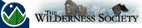 The Wilderness Society